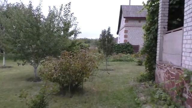 Стрижка газона газонокосилкой с травосборником смотреть онлайн