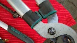 Как ВЫБРАТЬ СЕКАТОР? Секатор ДЛЯ ДОМА. Плюсы и минусы.