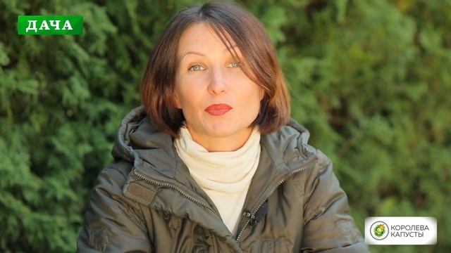 Весенний уход за газоном//вычесывание, аэрация, удобрение, подсев и реставрация газона