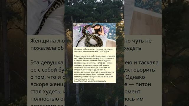 Женщина, которая любила спать с питоном, но почти пожалела об этом, когда змея стала худеть