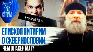 ЕПИСКОП ПИТИРИМ О СКВЕРНОСЛОВИИ: ЧЕМ ОПАСЕН МАТ?/ СПАС - СТРИМ