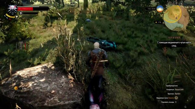 Witcher 3: Wild Hunt Спасаем Лютика смотреть онлайн