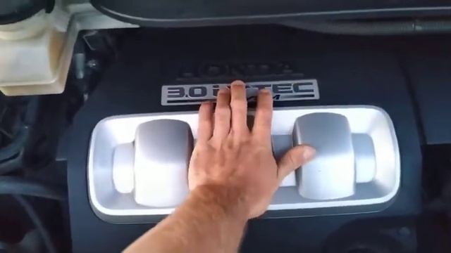 Honda Elysion газ или бензин? Нагревается движок смотреть онлайн