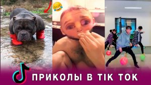 ?Угарное видео из тик ток Лучше приколы 2022 /Я ржал до слез ?#юмор #тикток#приколы #смех