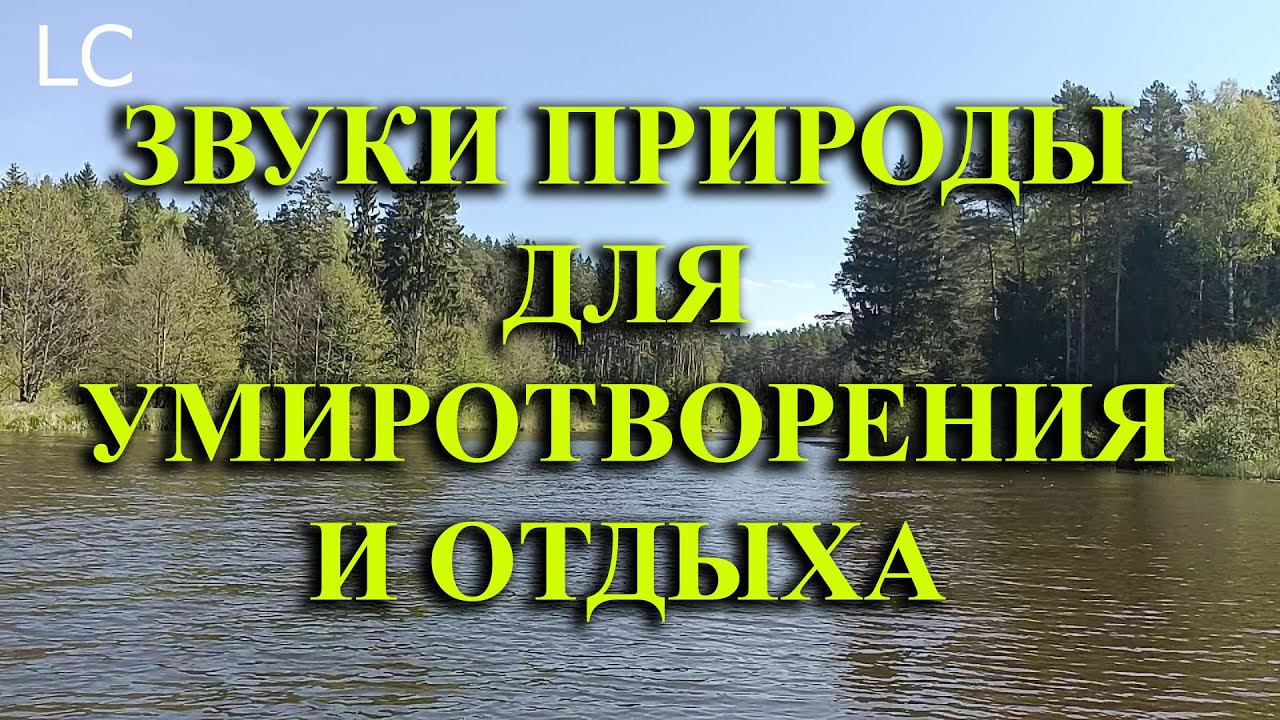 Поможет вам насладиться природой и отдохнуть от повседневных забот.  #музыкадлясна