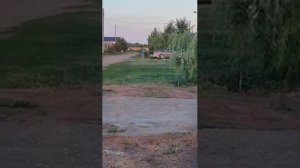 Проверка вариатора форвард на самодельном буксировщике 6.5 л