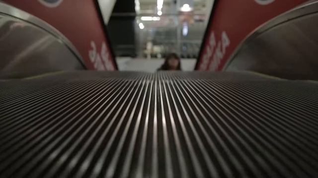 Planeta 1080p Web
