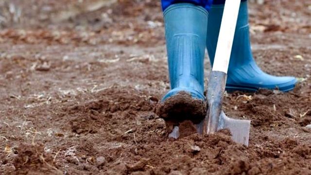 Чем нужно обязательно удобрить землю осенью? смотреть онлайн