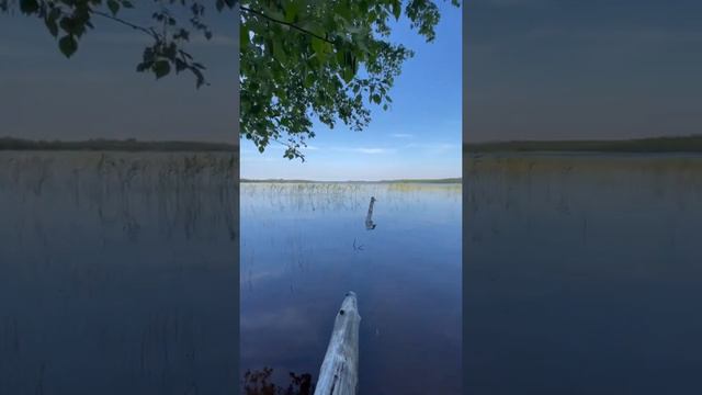 Горовалдайское озеро 🏖