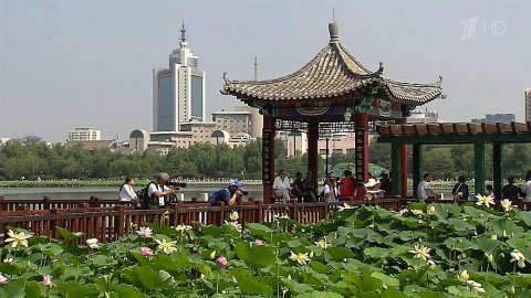 В Пекине проходит грандиозный фестиваль лотосов