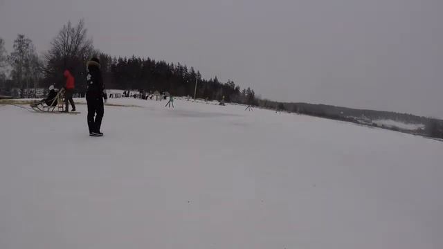В питомнике сибирских хаски DogWinter