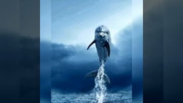 Кто нас обманывает? Как избавиться от иллюзии, 257 смотреть онлайн