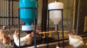 Автоматическая кормушка для курятника .