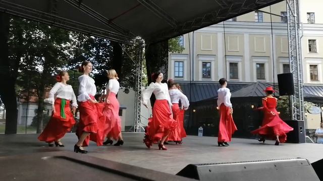 Александровский сквер, цикл концертов «ГУБЕРНАТОРСКИЙ САД» Студия танца Flamenco Dance BY 08.07.202 смотреть онлайн