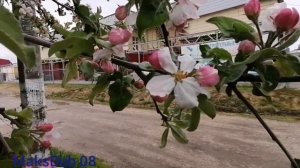 Маленький, но уютный город Жирновск #жирновск