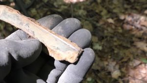 СКАЗОЧНЫЙ ЛЕСОК усыпан непонятными артефактами! Медали.