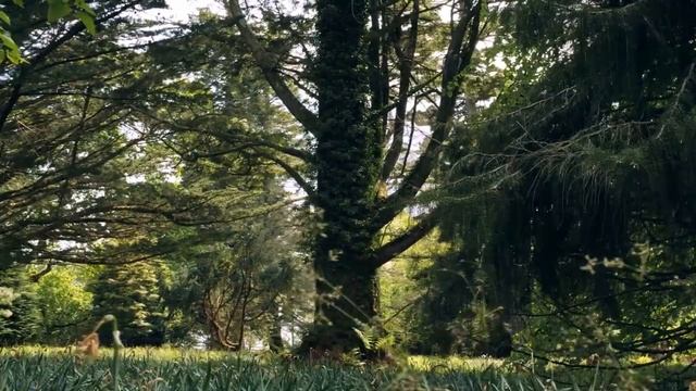 Ислам моя жизнь. Как религия влияет на человека смотреть онлайн