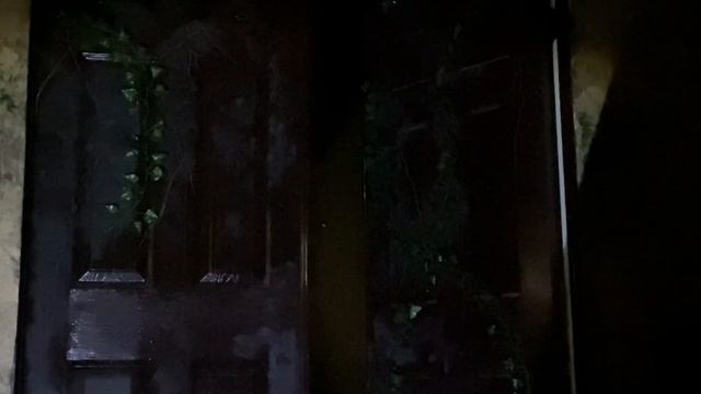 Chronos Escape Room - Jurassic Island Game смотреть онлайн