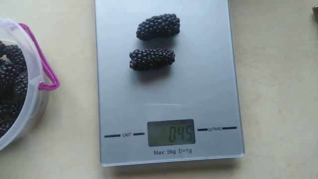 Ежевика сорта Карака Блэк смотреть онлайн