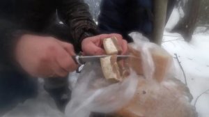 ТАЁЖНЫЙ ПРОМЫСЕЛ//О ЧЁМ МОЙ КАНАЛ//ТРЕЙЛЕР