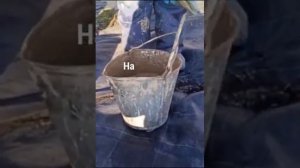 Как защитить растения от мышей зимой?