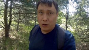 Сбор грибов в июне. Маслята, свинушки, подберезовики.