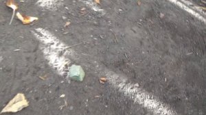 СОРЕКС ПРО ТЕСТ № 6