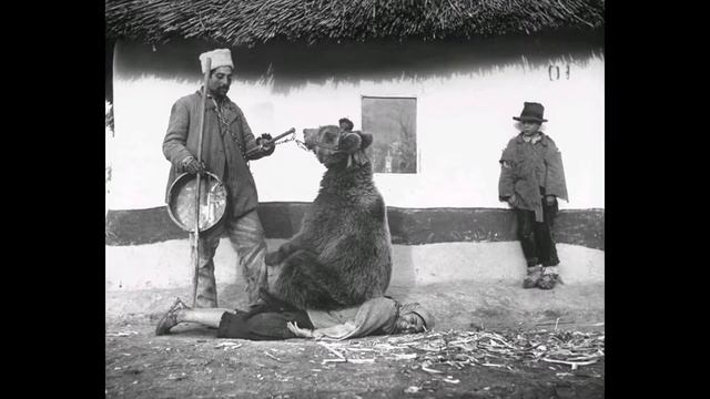 LJ150408 130 foto history Использование медведей для лечен смотреть онлайн