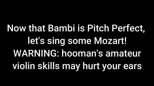 IS MY DOG PITCH PERFECT?! смотреть онлайн