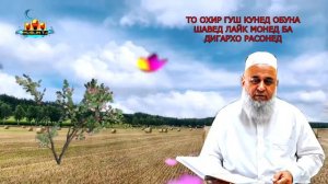 Амри маруф дар сураи Бакара Худо чи мега