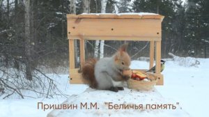 Пришвин Беличья память