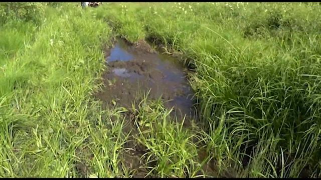 Квадро ОКА (crazy frog) и квадроциклы испытание по бездорожью смотреть онлайн