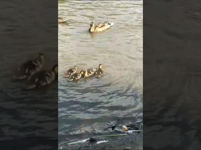 1 июля 2023 г. смотреть онлайн