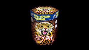 CL048 ЯГУАР (1,2 х19) - КОЛОРЛОН, фейерверки и салюты в Новосибирске