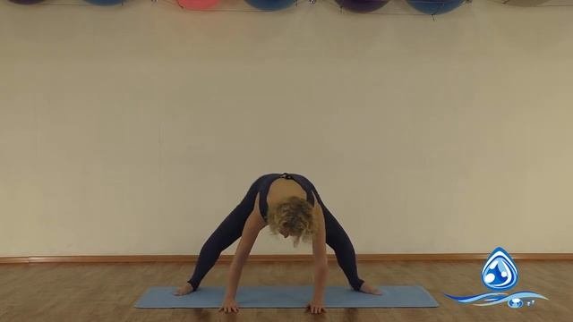 Упражнение Танец кенгуру. Упражнения гимнастики «Капля»