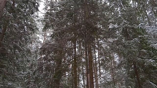 Мобиба МБ 10 в лесу смотреть онлайн