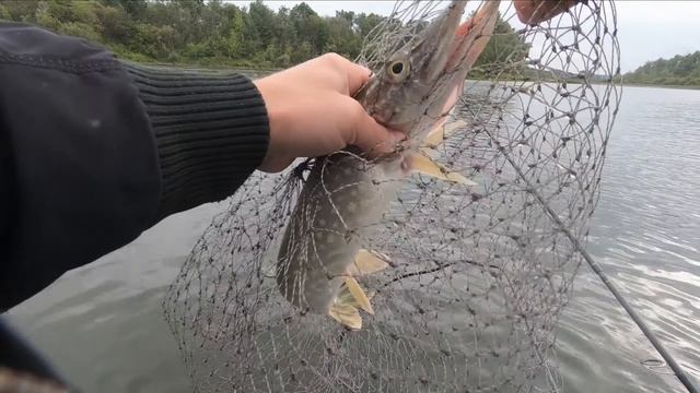 Ловля щуки смотреть онлайн