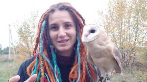 Сова сипуха Флёр.