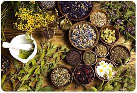 ТРАВЫ В МАГИИ ЗАЩИТА ТАЛИСМАН ОБЕРЕГ.