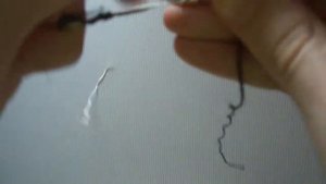 Как связать две лески между собой.