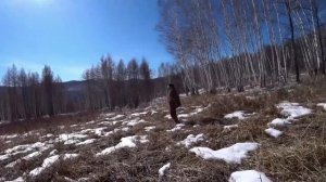 как удержать кабана на угодьях