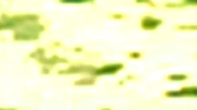 palm shadow expert (slow) смотреть онлайн