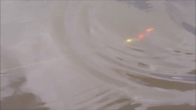 Tail Bait Palych Pet Perch смотреть онлайн