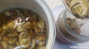 Как солить КУЛЬБИКИ ( КУБАРИ, КУБЫШКИ ). Самый простой быстрый вкусный способ.
