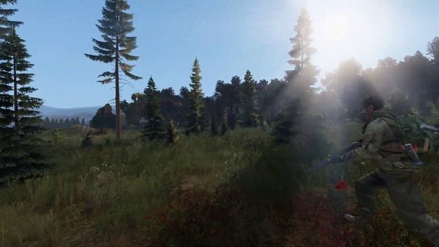 DayZ RP. RUSSIAN FOREST RP. Приключения Миши, Славы и Димы с волками смотреть онлайн