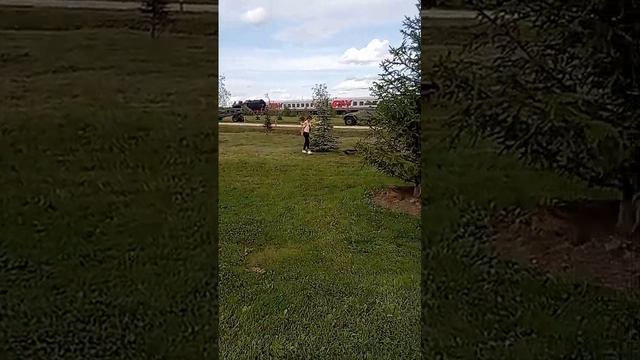 VID-20240811-WA0007.mp4