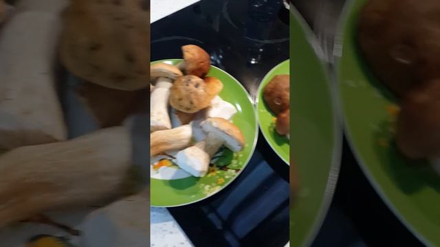 ?Грибы.❤Белые?,подосиновики и подберезовики.?Красота! смотреть онлайн