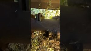 Комбайн КРП-2,0 «РОСЬ-2»