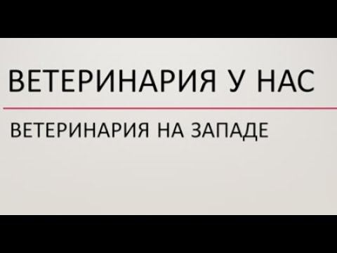 Ветеринария у нас и у них в чем разница. Где лучше?