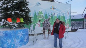 Журавли. На видео Владимир Туренок. Автор видео Елена Цыганова. г.Ачинск. 18.01.23г.